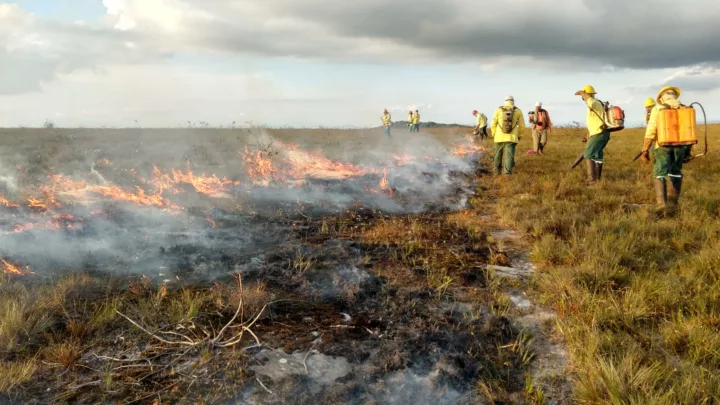 Governo de Minas intensifica ações para coibir incêndios criminosos