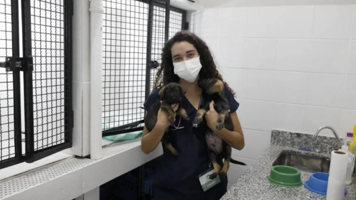 Hospital Veterinário já atendeu mais de 7.380 cães e gatos em 2023